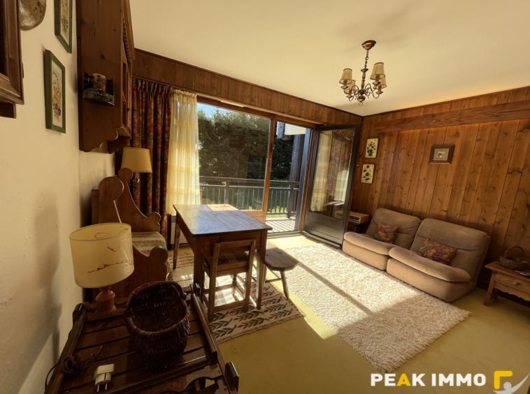 Appartement - 2 pièces - 32.57m2  - Combloux secteur Ormaret