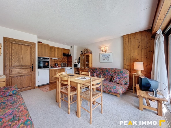 Studio 29,32 m2 - ARGENTIERE, Chamonix-Mont-Blanc
