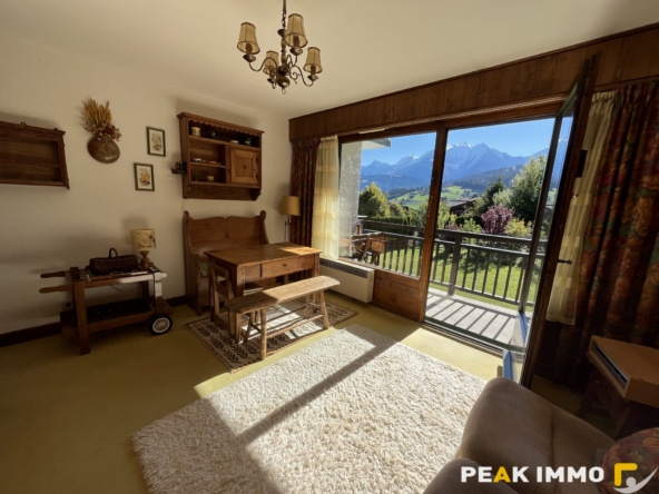 Appartement - 2 pièces - 32.57m2  - Combloux secteur Ormaret