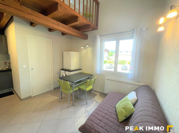 Location d'un appartement F1 (23 m2) à VIUZ EN SALLAZ