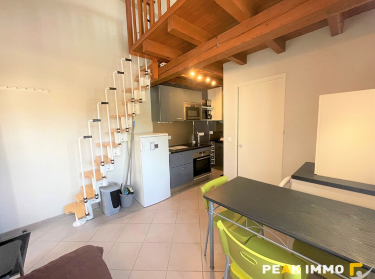 Location d'un appartement F1 (23 m2) à VIUZ EN SALLAZ