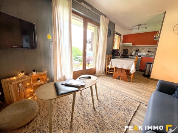 Appartement Studio + cabine - 25.86 m2 - Combloux Village