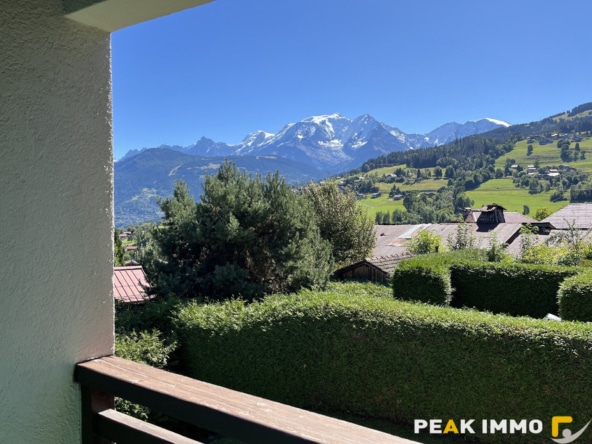 Appartement F1 - 31.65 m2 - Combloux centre