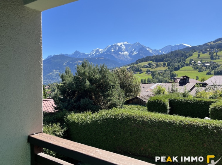 Appartement F1 - 31.65 m2 - Combloux centre