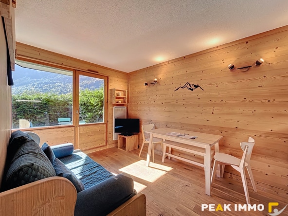Appartement 1 pièce 21,37 m2 - Les Houches