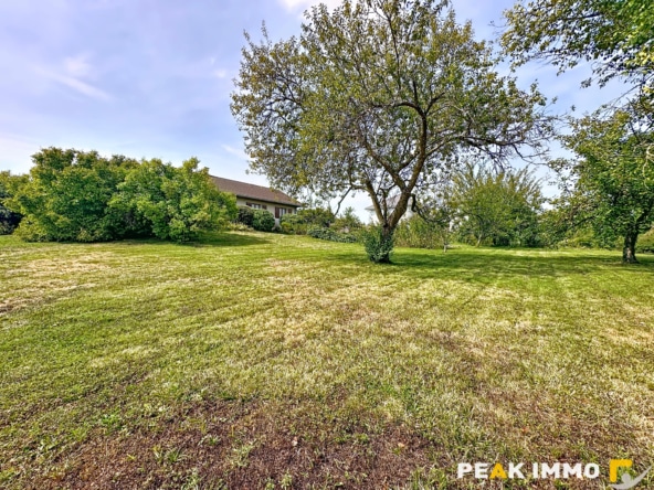 Terrain - 600 m2 - Sales