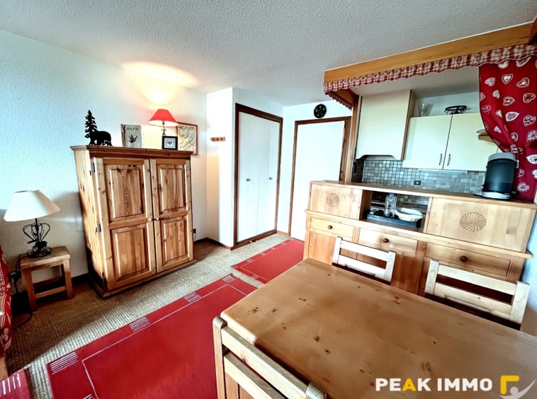 Appartement F1 - 31.65 m2 - Combloux centre