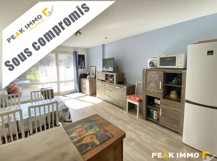 Appartement 1 pièce Sallanches