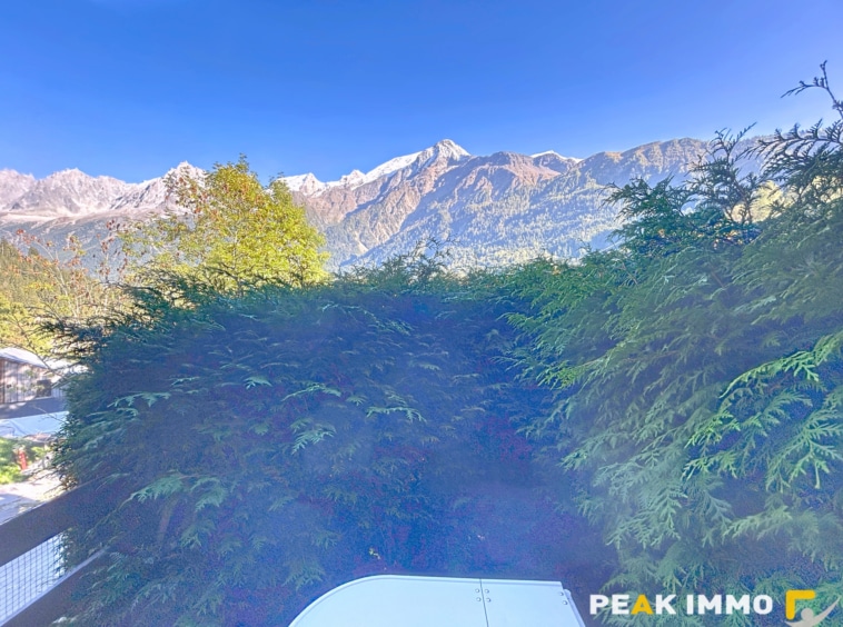 Appartement 1 pièce 21,37 m2 - Les Houches