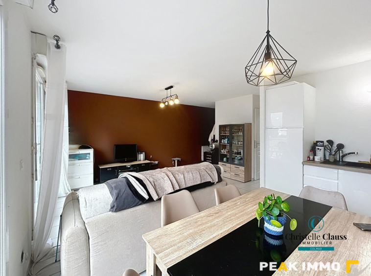 Appartement Scionzier 2 pièce(s) 46 m2 avec Terrasse et Gara