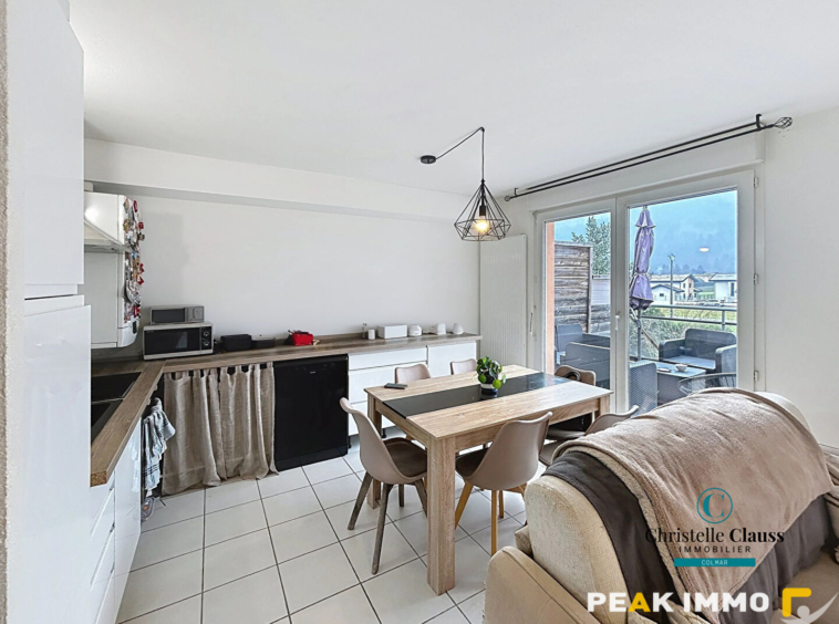 Appartement Scionzier 2 pièce(s) 46 m2 avec Terrasse et Gara