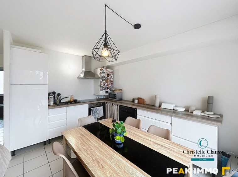 Appartement Scionzier 2 pièce(s) 46 m2 avec Terrasse et Gara