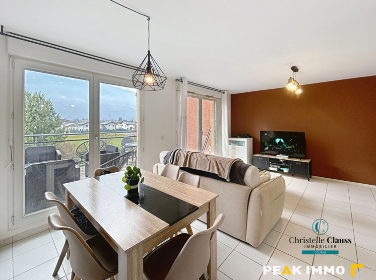 Appartement Scionzier 2 pièce(s) 46 m2 avec Terrasse et Gara
