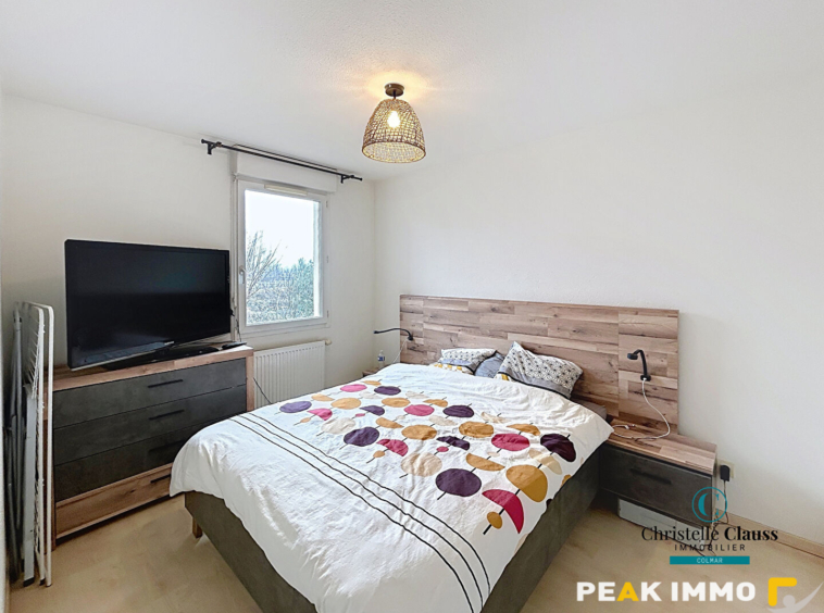 Appartement Scionzier 2 pièce(s) 46 m2 avec Terrasse et Gara