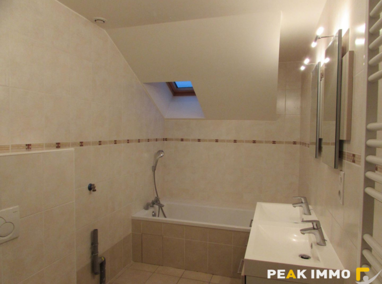 Location maison 7 pièces Peillonnex