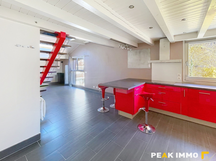 À louer   Superbe T3 duplex rénové   La Tour