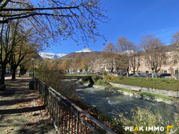 Sallanches Studio 22 m2