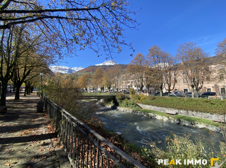 Sallanches Studio 22 m2