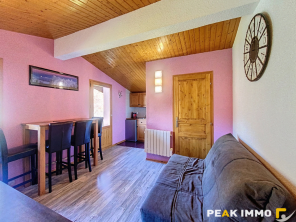 T2 LE PRARION 20,88 m2 - Les Houches