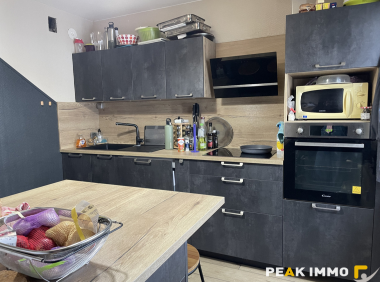 EN EXCLUSIVITE BONS EN CHABLAIS CENTRE APPARTEMENT DE TYPE T