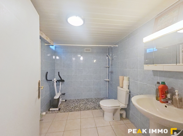 FILLINGES - Maison avec dépendances sur 590 m2 de terrain