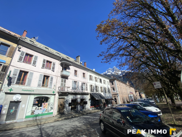 Sallanches Studio 22 m2