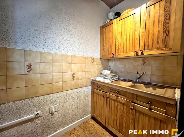 Sallanches Studio 22 m2