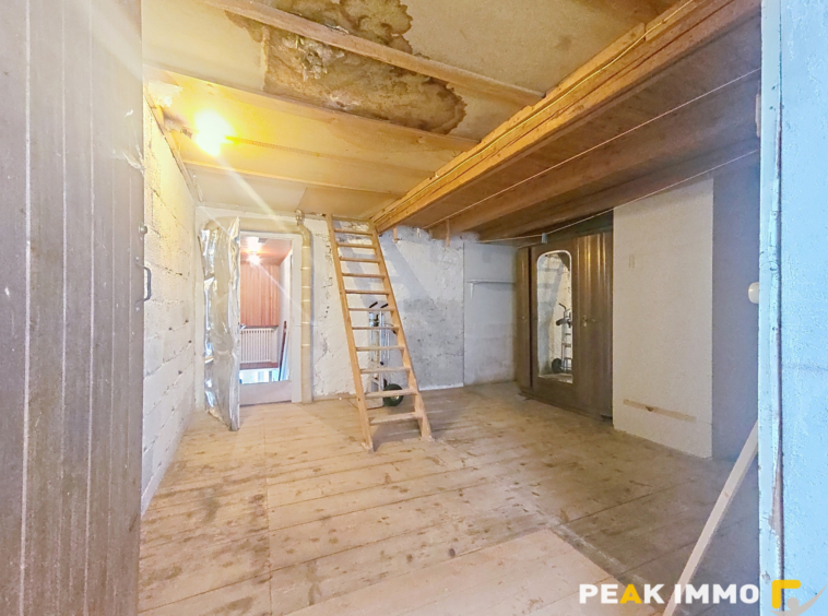 FILLINGES - Maison avec dépendances sur 590 m2 de terrain