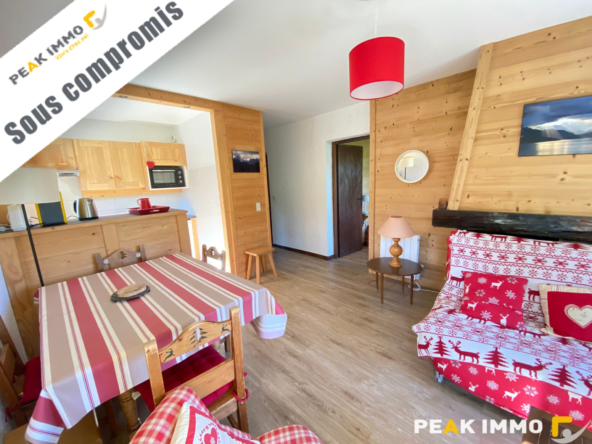Appartement 3 pièces Combloux Domaine Skiable