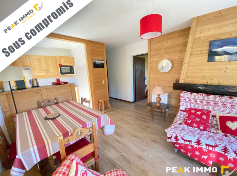 Appartement 3 pièces Combloux Domaine Skiable