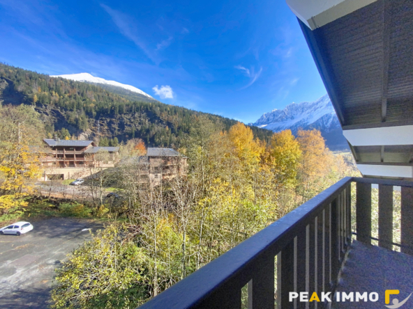 T2 LE PRARION 20,88 m2 - Les Houches