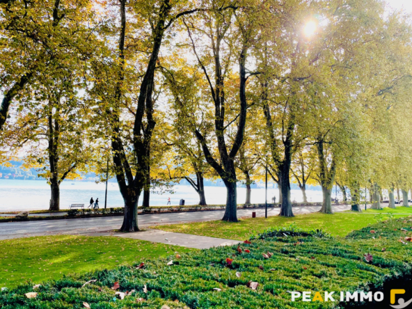 Cession de droit au bail   Emplacement Premium face au lac