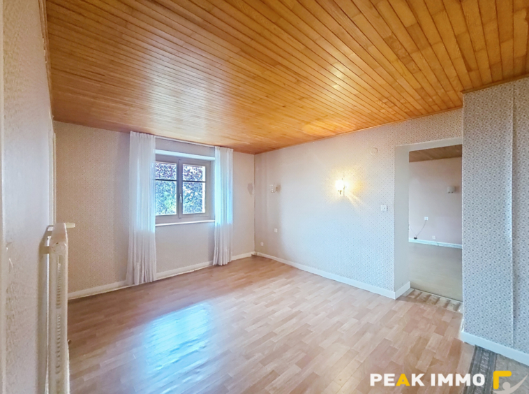 FILLINGES - Maison avec dépendances sur 590 m2 de terrain