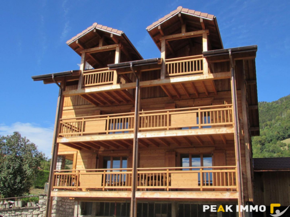 Location appartement 4 pièces - T3 Ville en sallaz