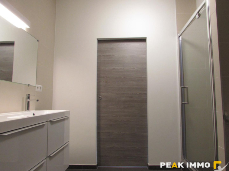 Location appartement 2 pièces - F2 Lucinges