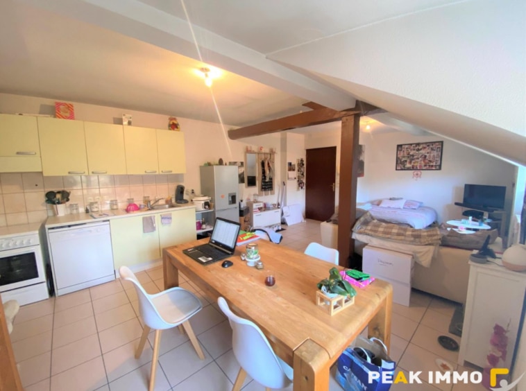 Location appartement 2 pièces - T2 Saint cergues