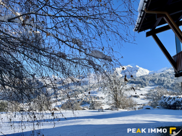 Appartement F2- 29.09m2 - Combloux -Secteur Ormaret