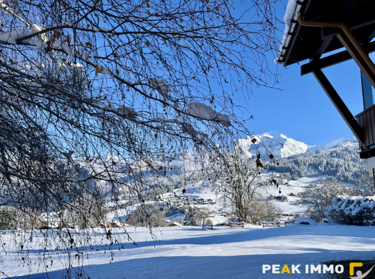 Appartement F2- 29.09m2 - Combloux -Secteur Ormaret