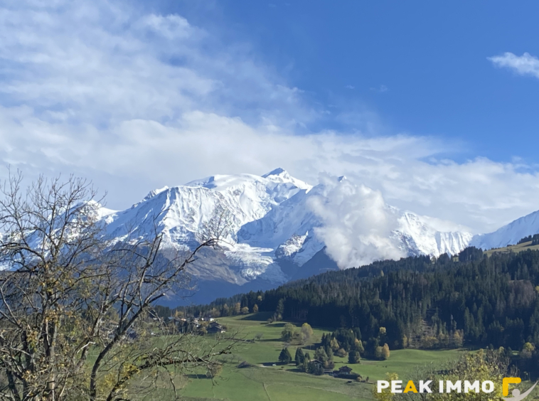 Appartement F2- 29.09m2 - Combloux -Secteur Ormaret