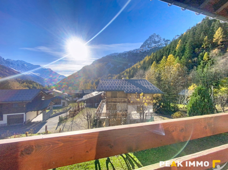 Appartement 3 pièces duplex de 43,27 m2/51m2 total - Montroc