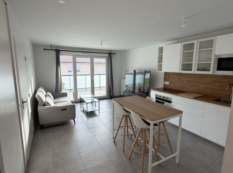 2 pièces, 43,55 m2, Frangy