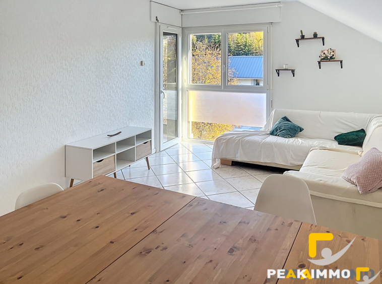 FILLINGES - Charmant T2 avec balcon et cave