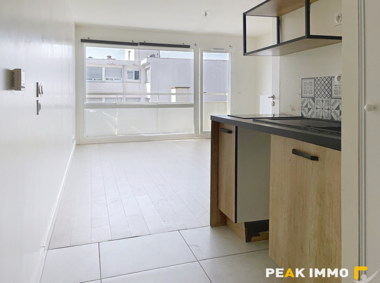 EXCLUSIVITE STUDIO MODERNE ANNEMASSE CENTRE CHABLAIS PARK