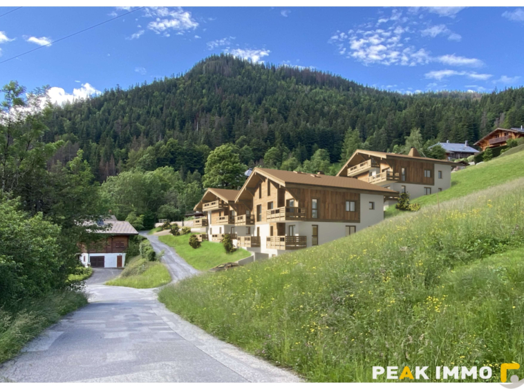 Appartement T2 neuf - 46.41 m2 - Les Ecrins de Saint-Jean