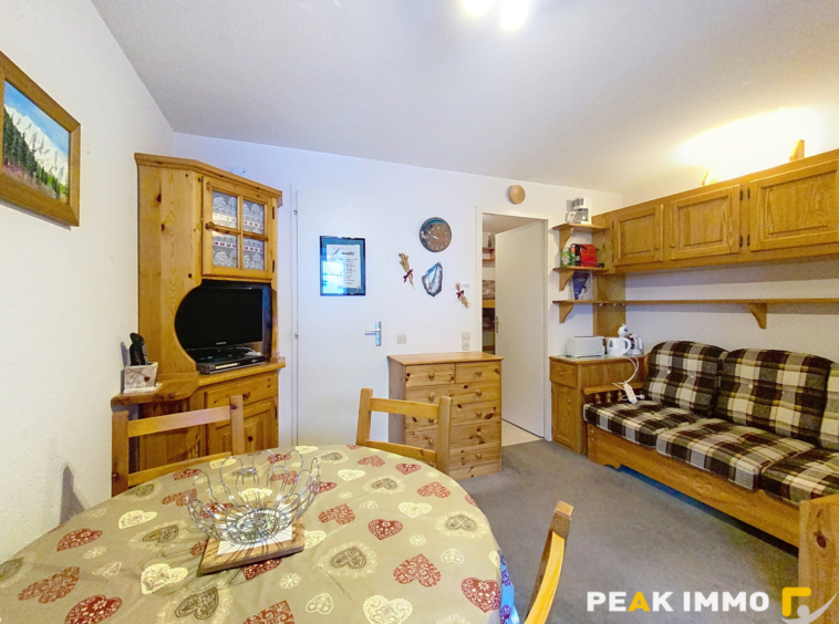 Appartement MORILLON LES ESSERTS T1 bis de 24.56m2