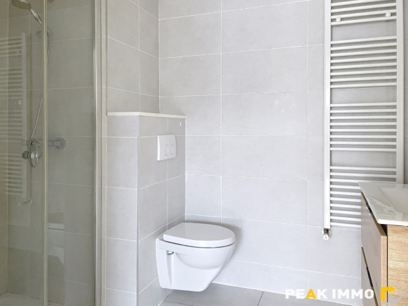 EXCLUSIVITE STUDIO MODERNE ANNEMASSE CENTRE CHABLAIS PARK