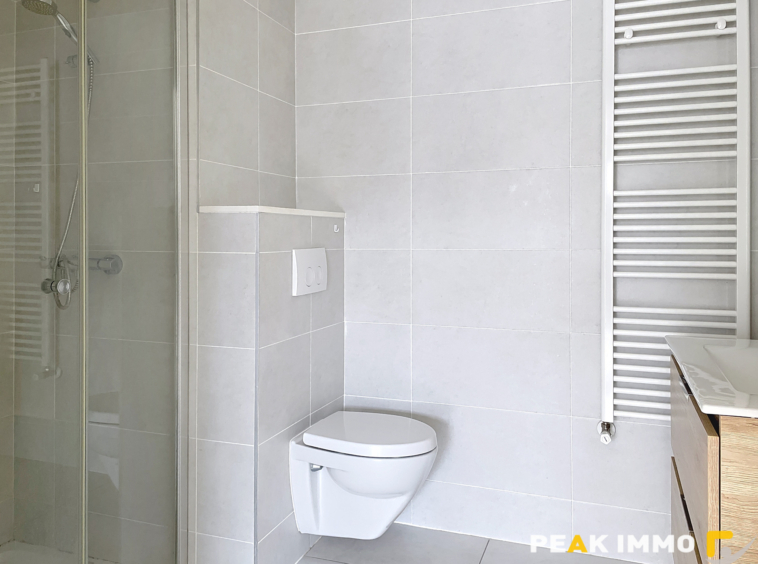 EXCLUSIVITE STUDIO MODERNE ANNEMASSE CENTRE CHABLAIS PARK