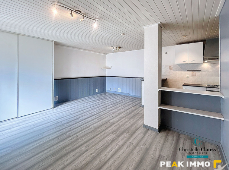 Appartement Saint Jeoire 2 pièce(s) 48.49 m2