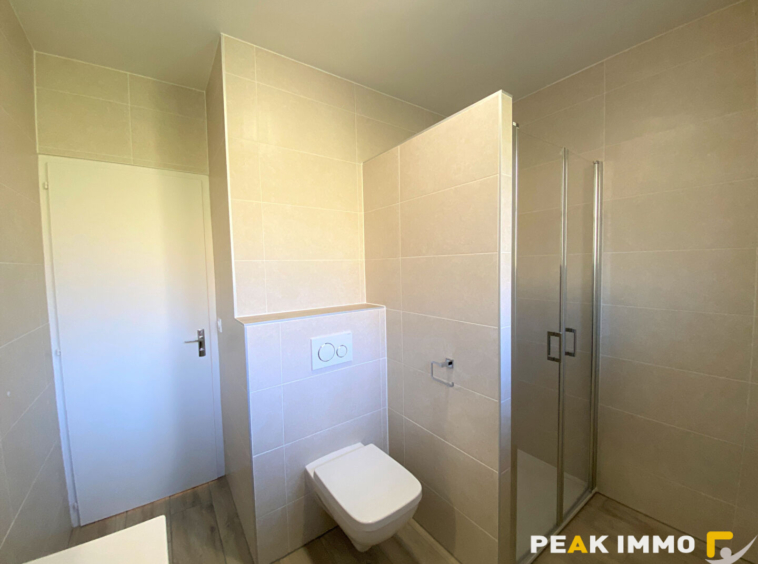 BONNE   Maison individuelle T6 bis avec jardin, garage doubl