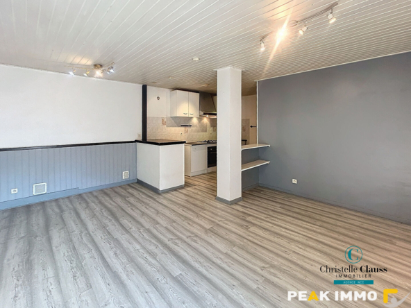 Appartement Saint Jeoire 2 pièce(s) 48.49 m2